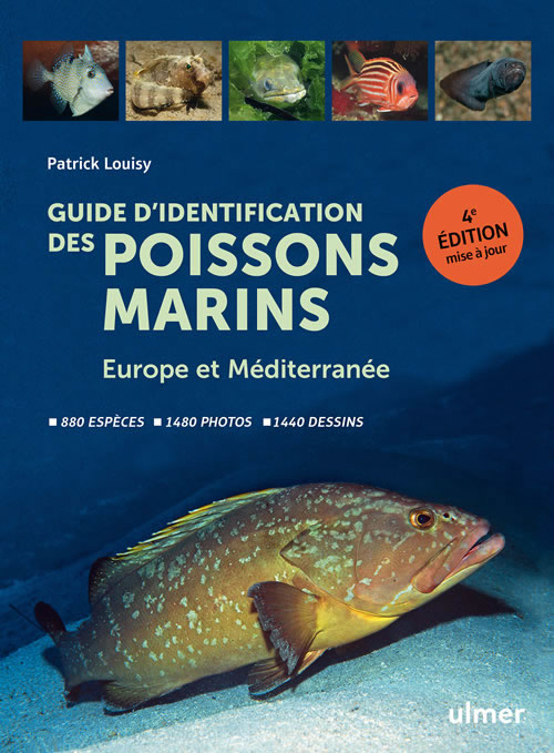 Poissons combattants - Livre Editions Ulmer - Guide Aquariophilie