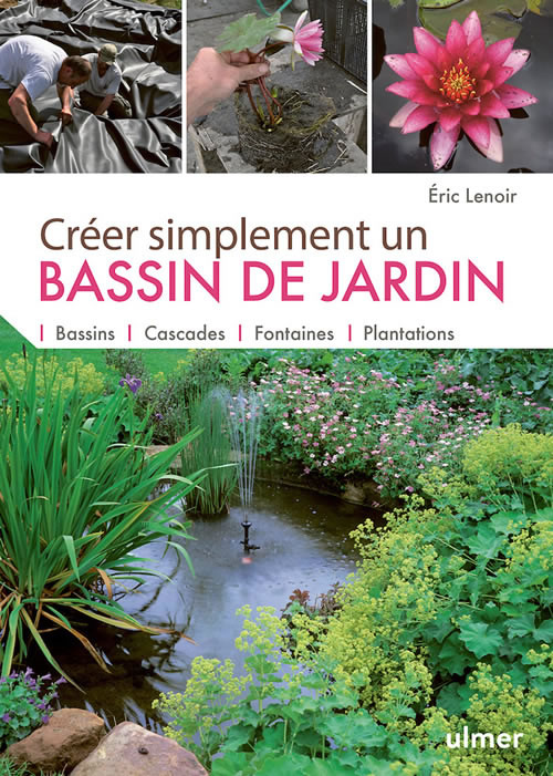 Un bassin dans mon jardin: nos conseils