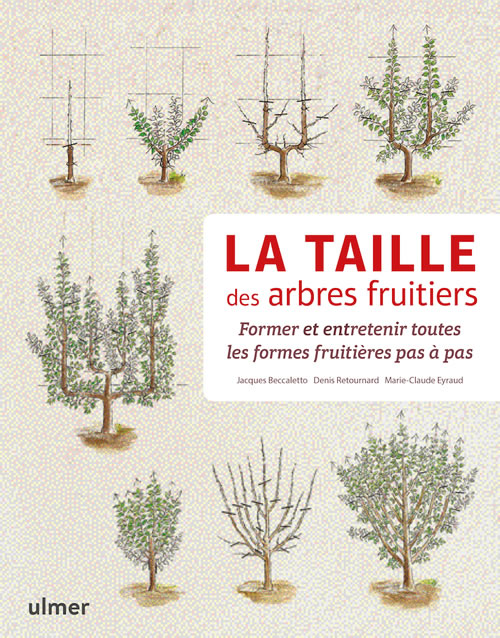 La hauteur des arbres