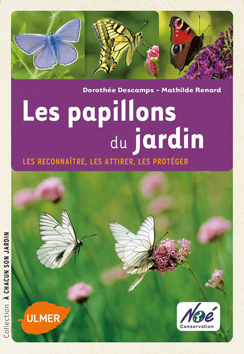 Les papillons du jardin Editions Ulmer