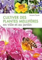 Wildtier Herz Ruche pour Bourdon & Abeilles – Hôtels à Insectes Idéal pour  Bourdon Et Abeilles Incluant