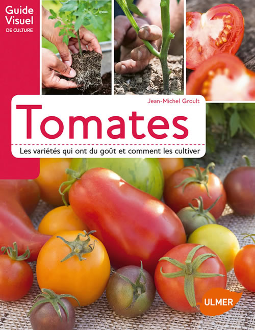 Comment faire ses propres graines de tomates ? - Gamm vert