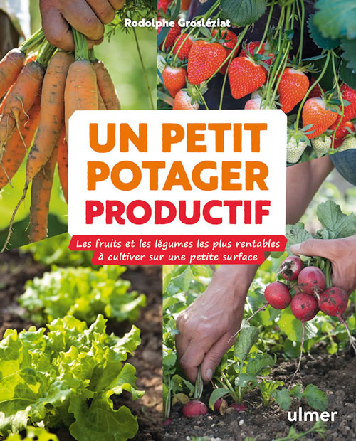 L'extraordinaire productivité d'un petit potager de 50 m2 : un