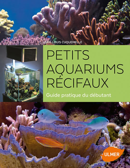 Petits aquariums récifaux