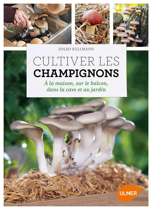 Les champignons